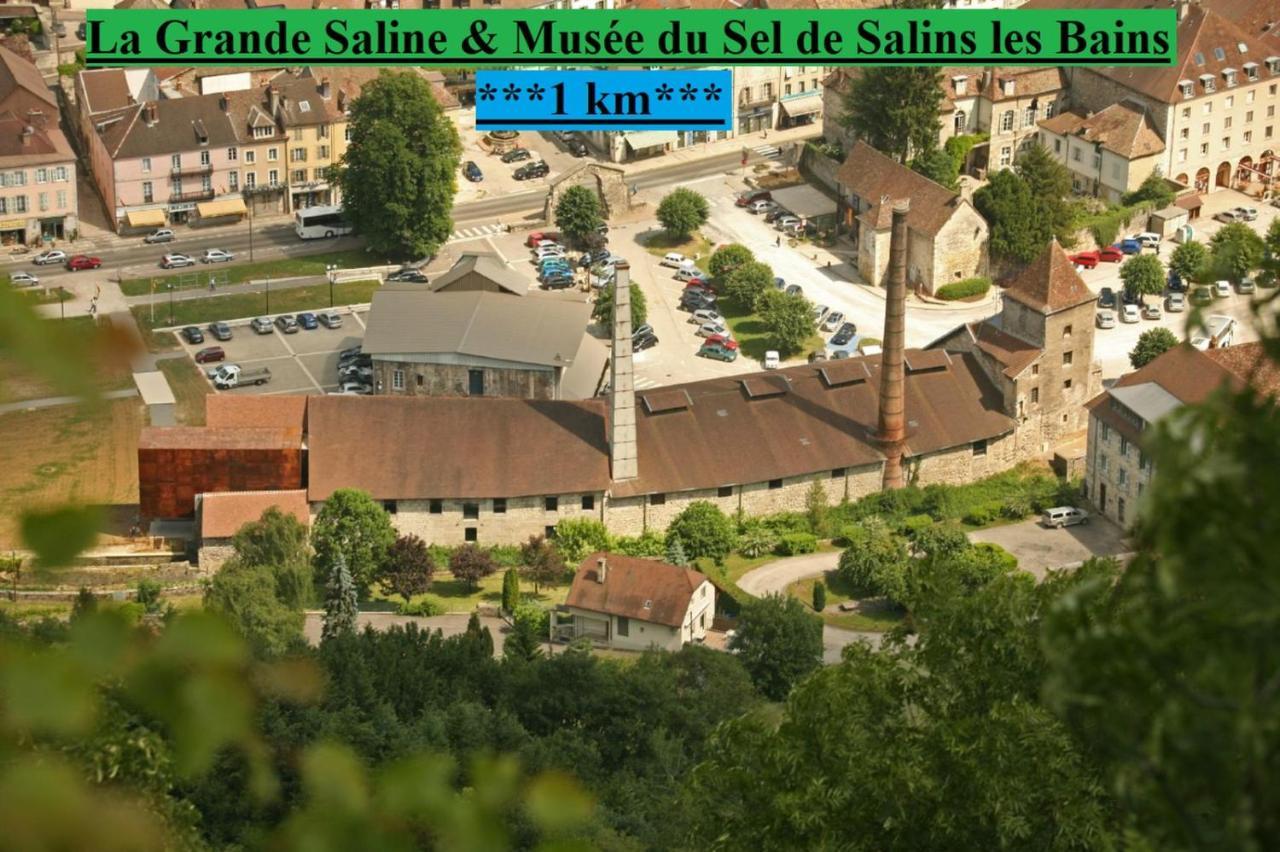 Appartement Cosy 36 Salins Les Bains Dış mekan fotoğraf